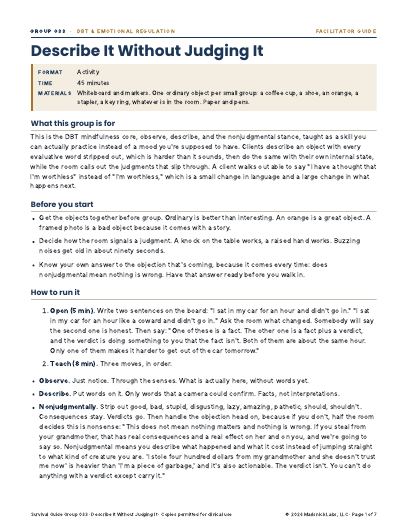 Describe It Without Judging It, first page