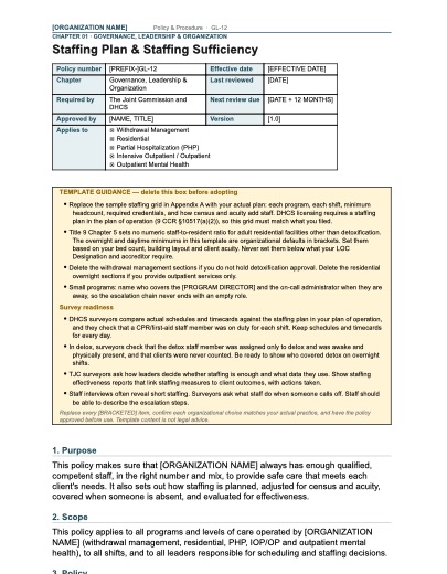 GL-12 Staffing Plan & Staffing Sufficiency, first page